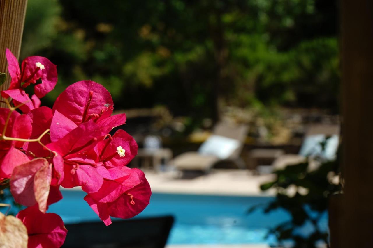 Logis Hotel Le Blason De Provence Monteux Exterior photo